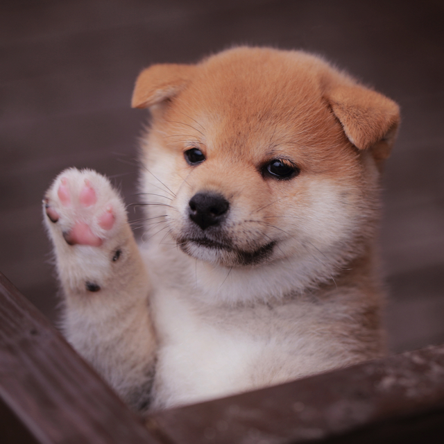 週末の土曜日！！