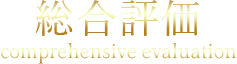 総合評価